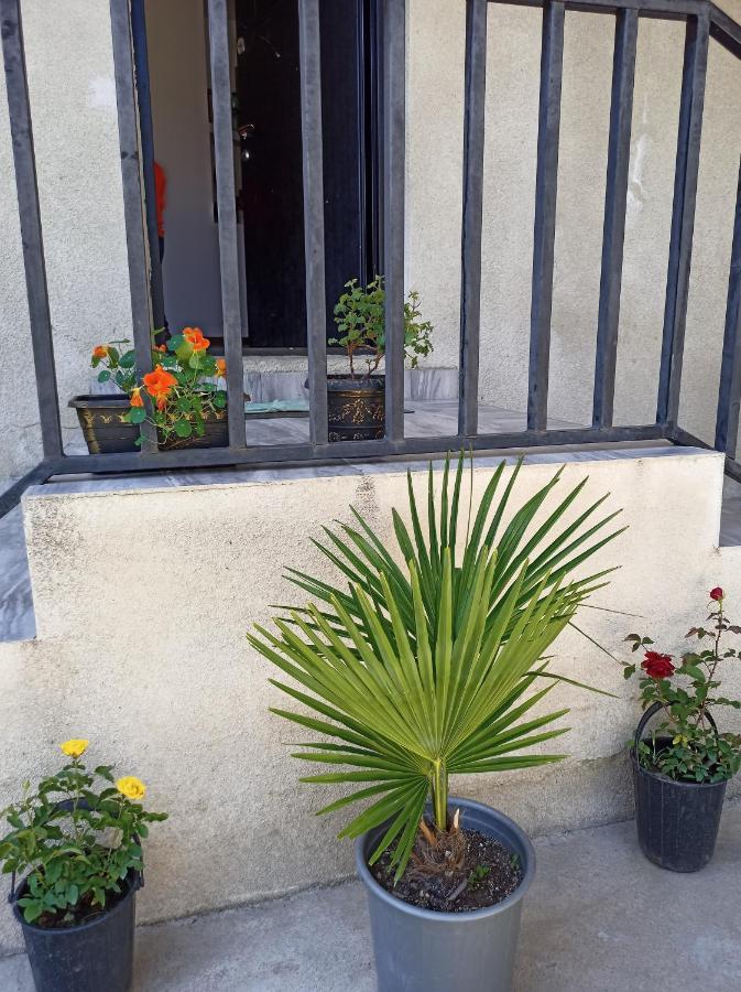House B&B Mestia Exterior photo